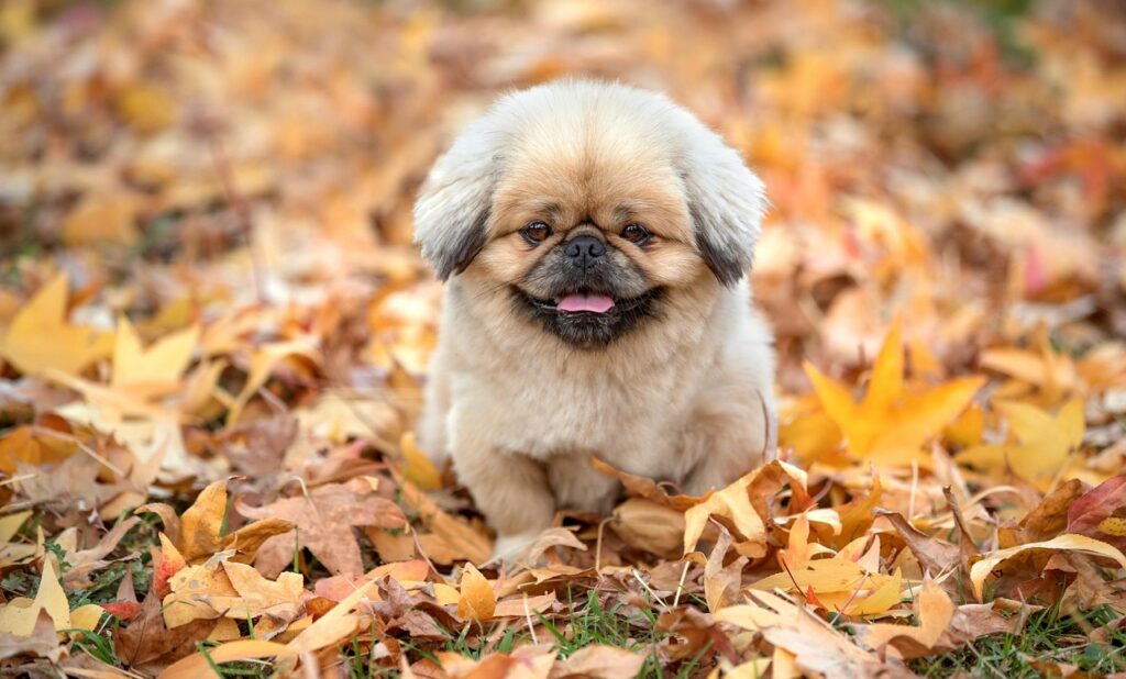 すね当ての正しい付け方とは？