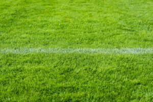 ジュニアサッカーのけが予防について相談できるLINEの活用法は？